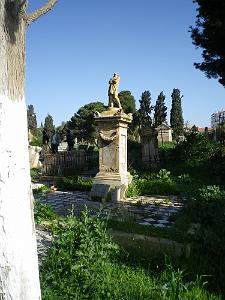 CIMETIERE DE TAMAZOUHET D ORAN EN MARS 2012  (81)